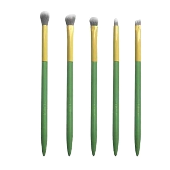 5 Eye Makeup Brush Collection in Package